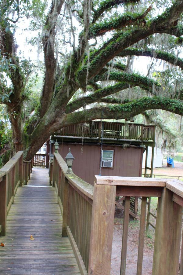 Berry Creek Cabins Bed & Breakfast Isabel Exterior foto