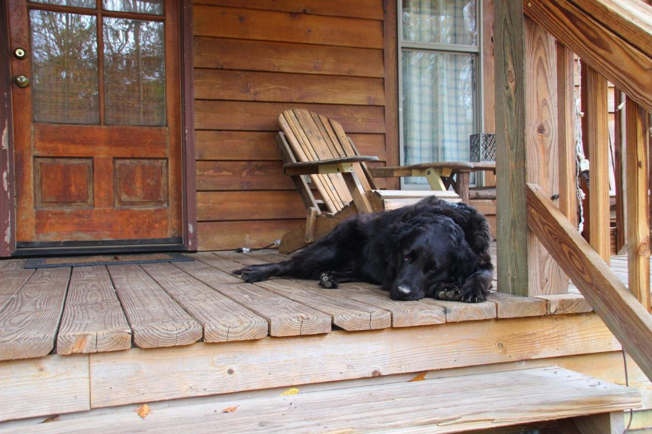 Berry Creek Cabins Bed & Breakfast Isabel Exterior foto